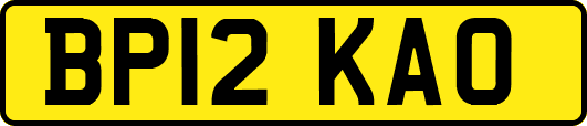 BP12KAO