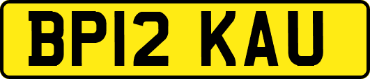 BP12KAU