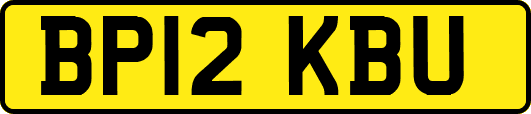 BP12KBU