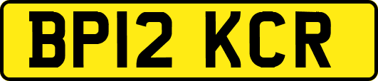 BP12KCR