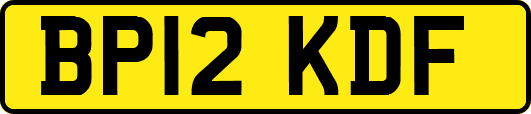 BP12KDF