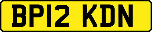 BP12KDN