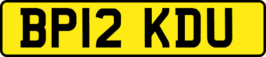 BP12KDU