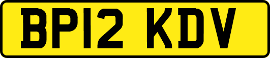 BP12KDV