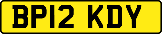 BP12KDY