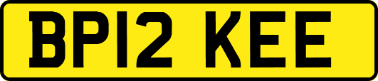 BP12KEE