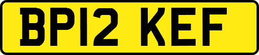 BP12KEF