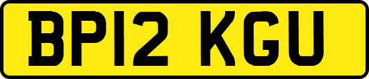 BP12KGU