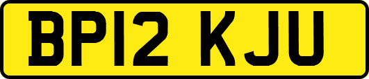 BP12KJU