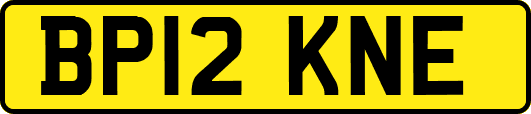 BP12KNE