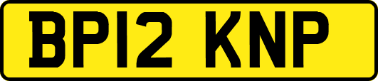 BP12KNP