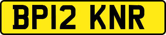 BP12KNR