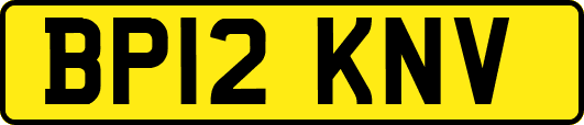 BP12KNV