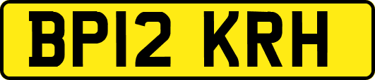 BP12KRH