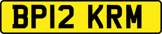 BP12KRM