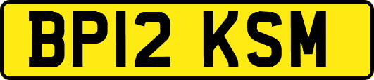 BP12KSM
