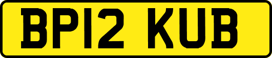 BP12KUB
