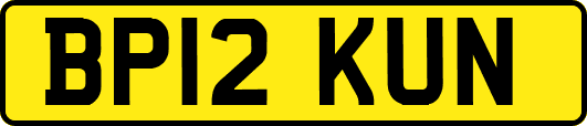 BP12KUN