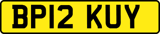 BP12KUY