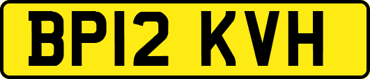 BP12KVH