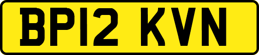 BP12KVN