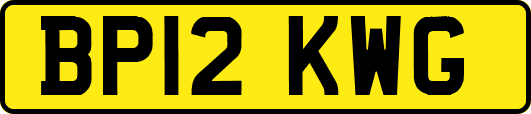 BP12KWG