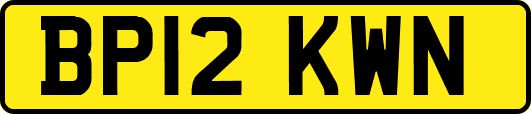 BP12KWN
