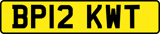 BP12KWT