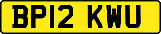 BP12KWU