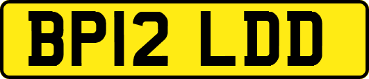 BP12LDD