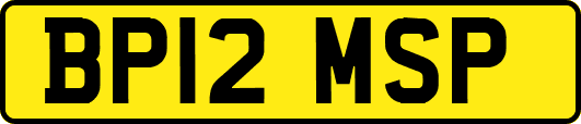 BP12MSP
