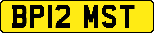 BP12MST