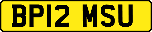 BP12MSU