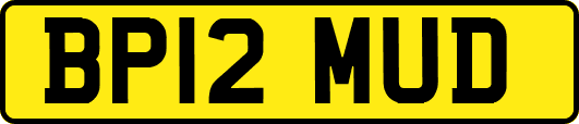 BP12MUD