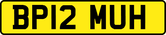 BP12MUH