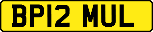 BP12MUL