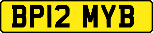BP12MYB