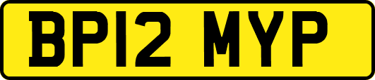 BP12MYP