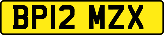 BP12MZX