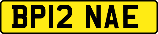 BP12NAE