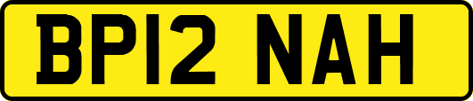 BP12NAH