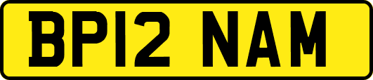 BP12NAM