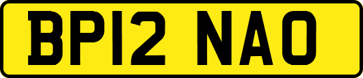 BP12NAO