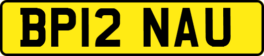 BP12NAU
