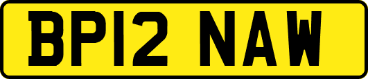 BP12NAW