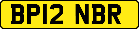 BP12NBR
