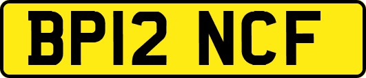 BP12NCF