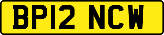 BP12NCW