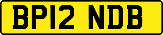 BP12NDB