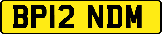 BP12NDM